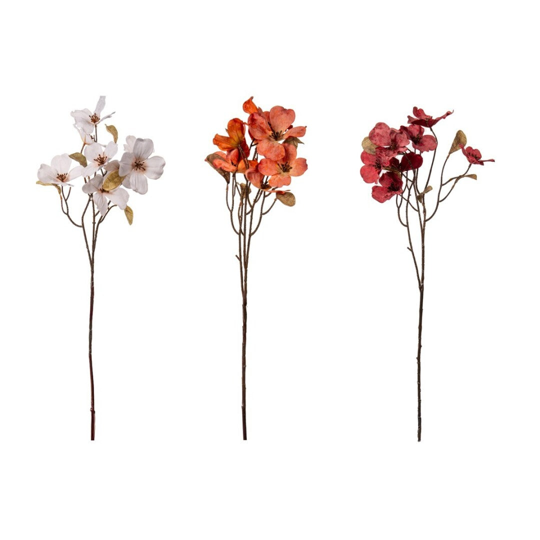 Magnolia Blossom Branch