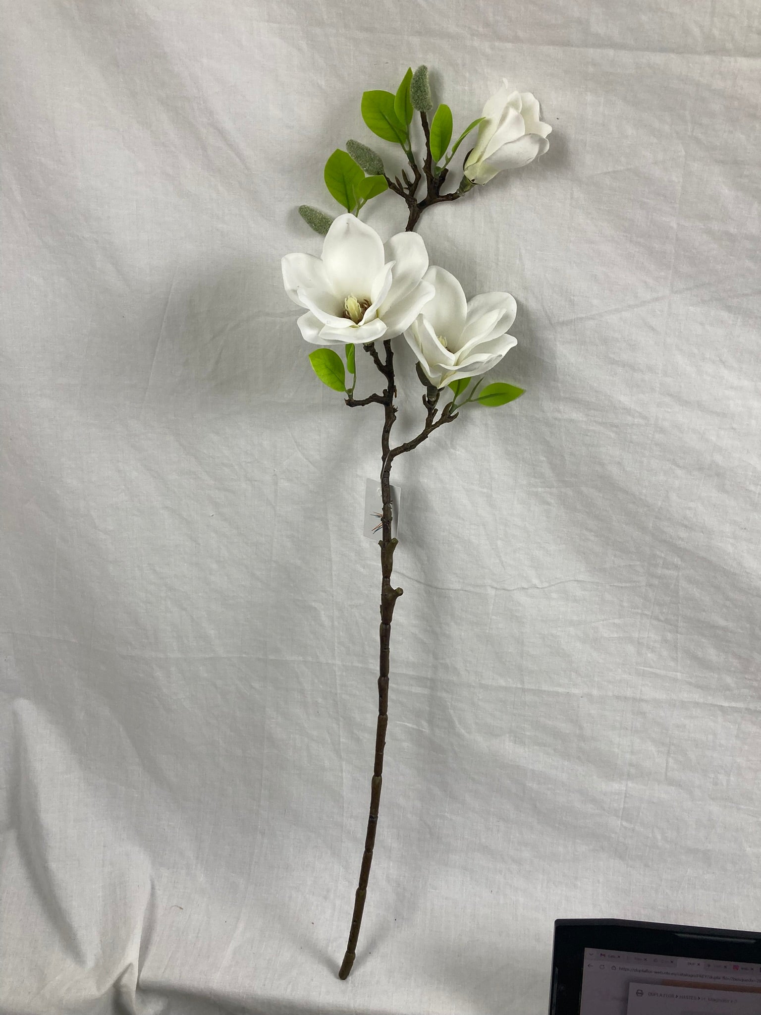 Magnolia Blossom Branch Premium (Bundle Creme)