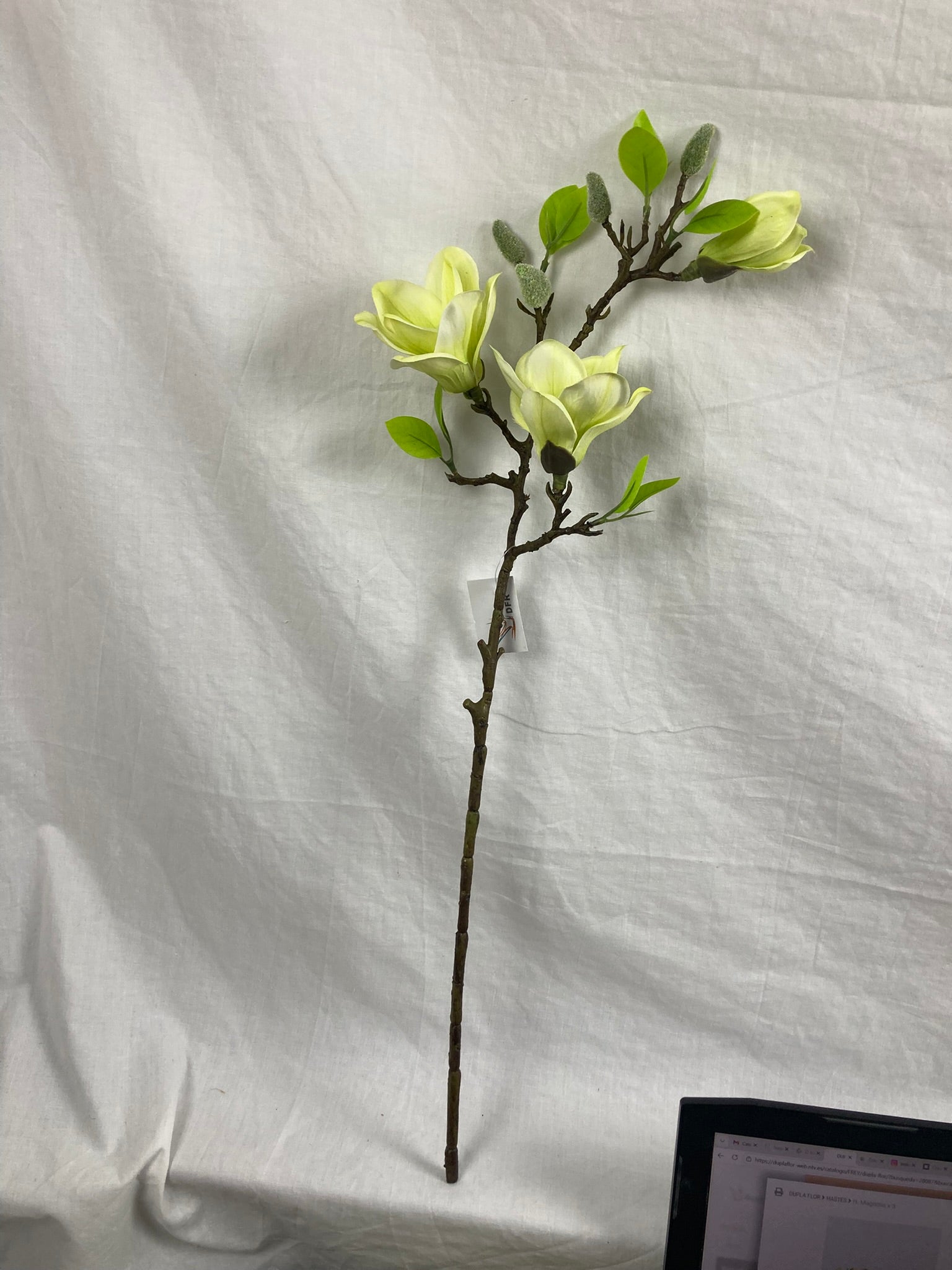 Magnolia Blossom Branch Premium (Bundle Creme)