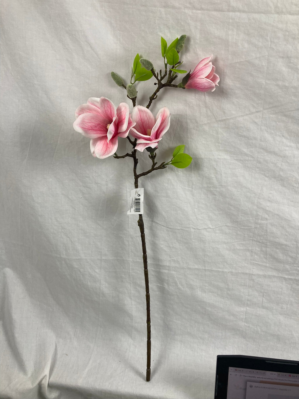 Magnolia Blossom Branch Premium (Bundle Creme)